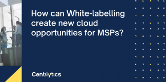 cloud MSP, Whitelabeling